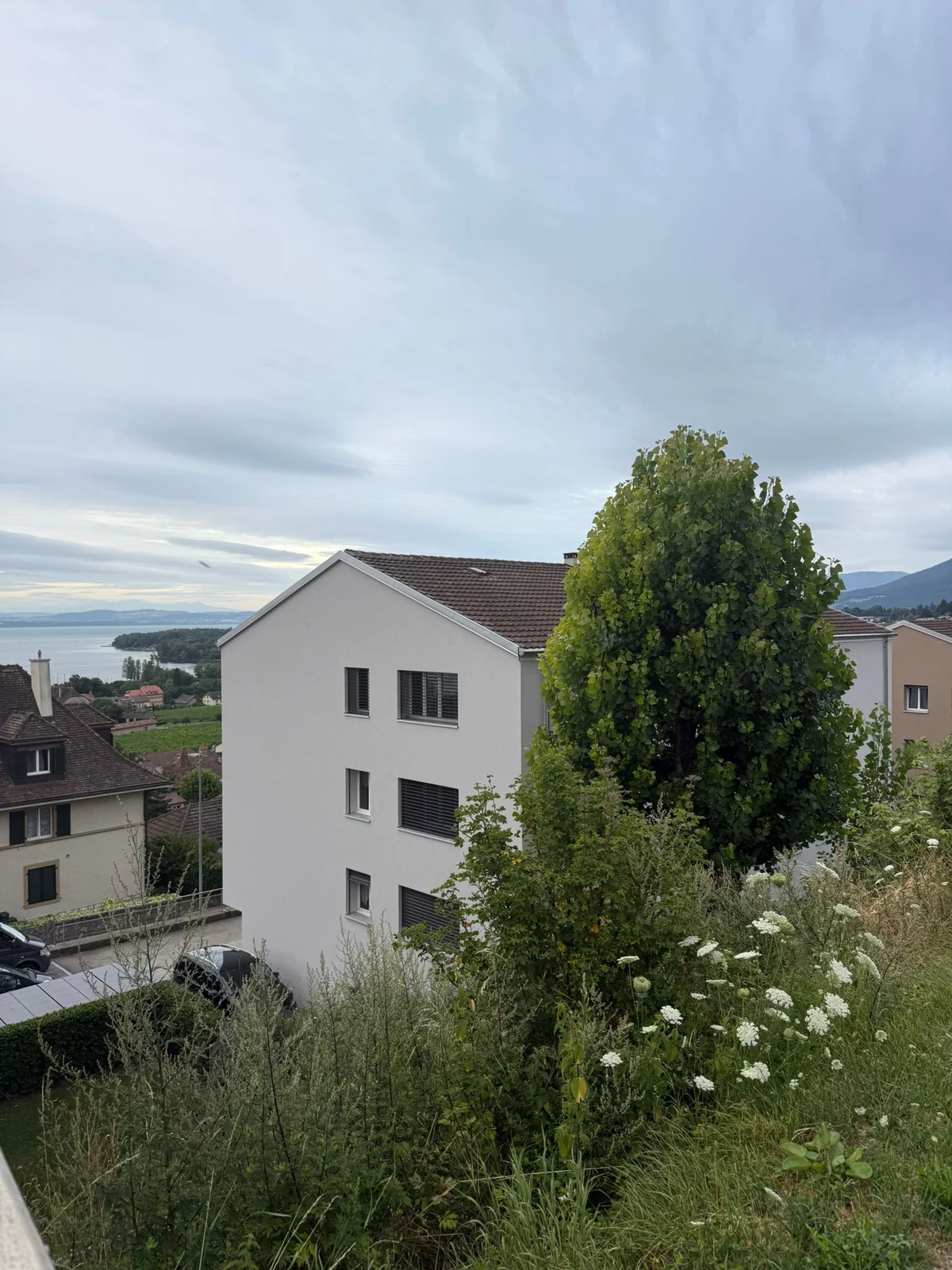 L’autre pignon rénové, derrière la végétation